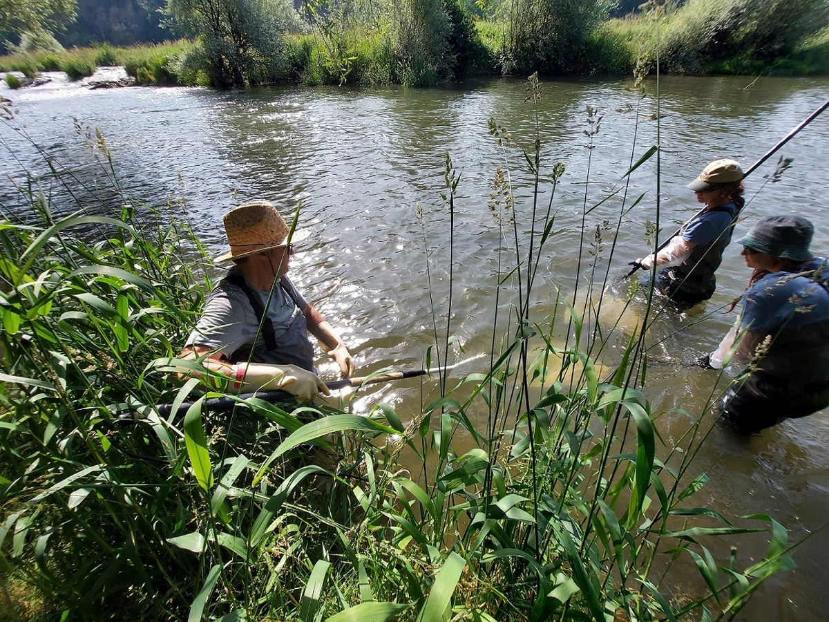 Investigadores del CERM haciendo estudio de campo en el río