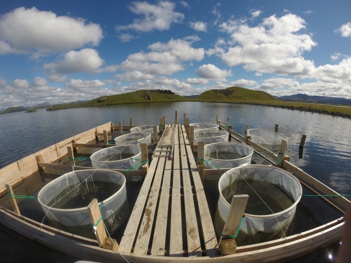 Investigadores del grupo BETA publican un estudio sobre cadenas tróficas y cambio climático en los lagos de zonas árticas