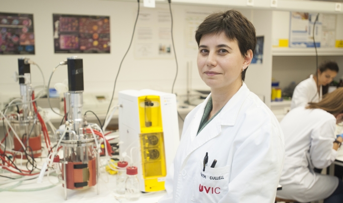 La UVic-UCC obtiene una patente por el proceso de producción de un bioestimulante del crecimiento vegetal a partir de un microorganismo