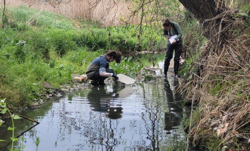 Treball de camp de tècniques del CERM als rius i rieres d'Osona el 2023