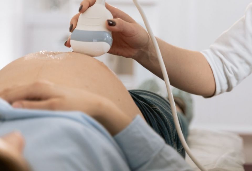 El 47% de mujeres embarazadas la covid-19 tuvieron al menos visita médica cancelada | UVic