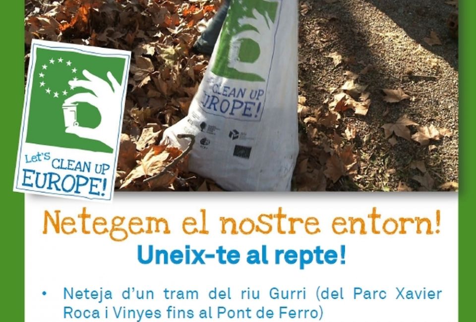 Cartell del repte Clean Up Day
