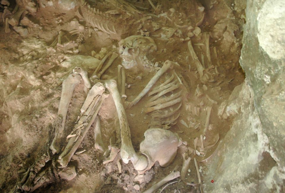 Los individuos de la Cova des Pas fueron enterrados en posición fetal. Imagen del individuo número 47. Foto: GREAB-UAB