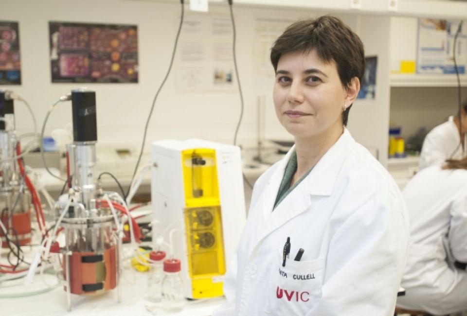 The UVic-UCC obtains a patent for the production process of a plant growth biostimulant based on a microorganism
