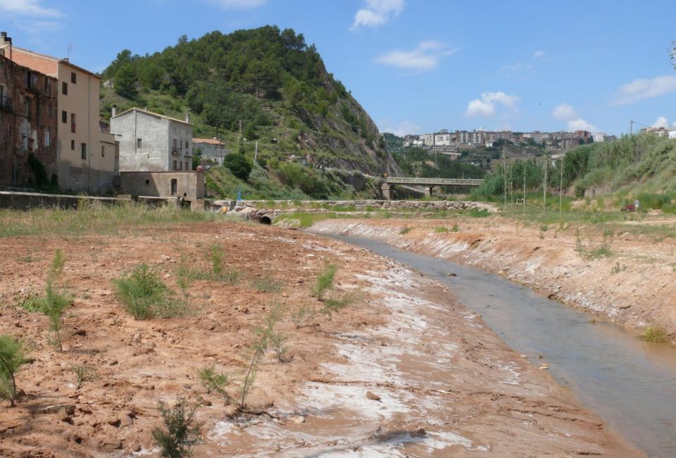 Llera antiga del riu Cardener a La Coromina-Cardona, on s'observen restes de sal. Foto: Florenci Vallès/Montsalat