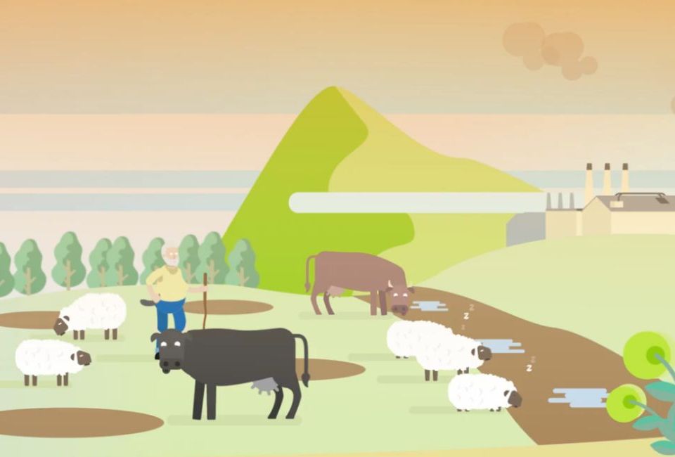 Imatge del vídeo sobre ramaderia extensiva i canvi climàtic